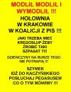 Holownia - farbowany lis sojuszu sekty kosciola z PiSem!
