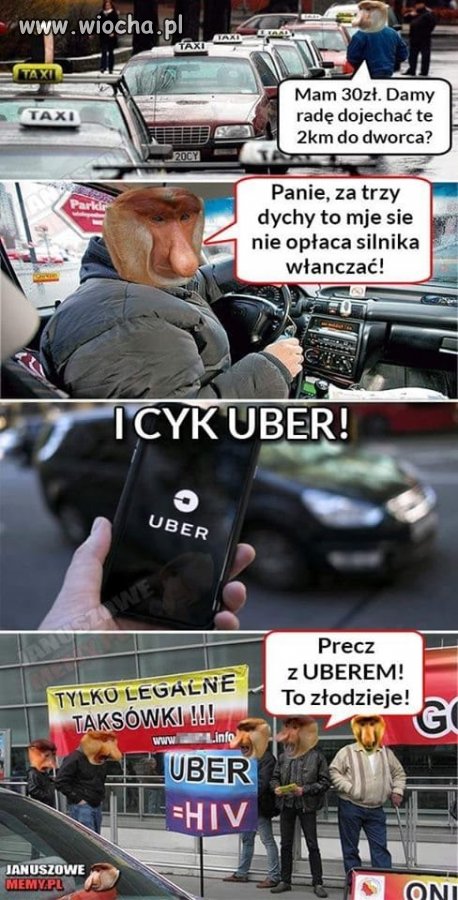 Sami tego chcieli