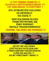 Czy Holownia to V kolumna sojuszu PiSu i sekty kosciola?