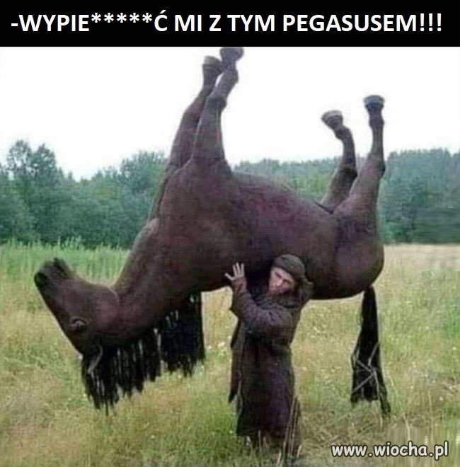 Koło okna latał i podsłuchiwał!!!...To go odstrzeliłem