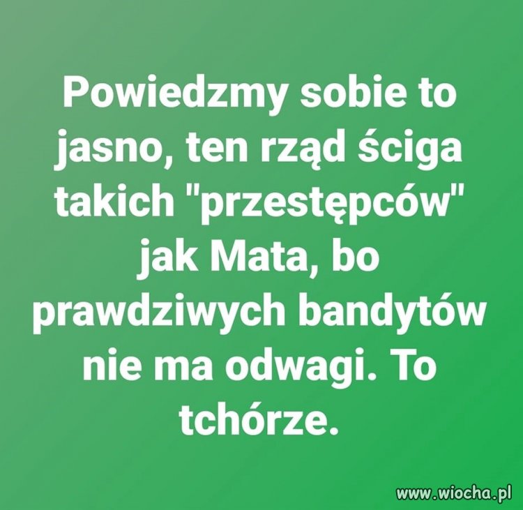 To zwykli tchórze 