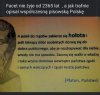 Nic dodać, nic ująć ...