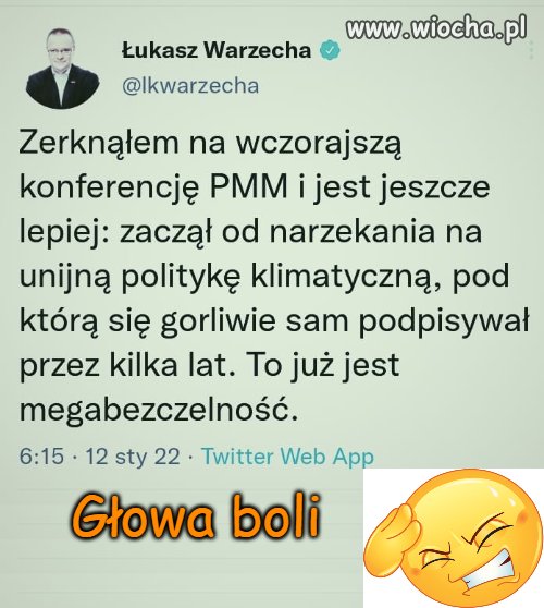Głowa boli 