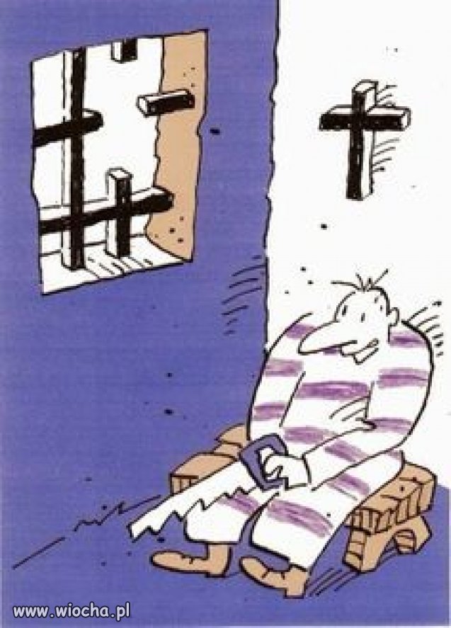 Ta piła to taka nauka XXI wieku. Rób z nią co chcesz...