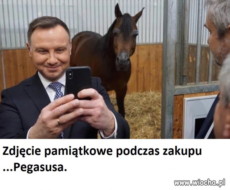 Pegasus? Pegasus?...aaa ten koń?!!!