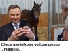 Pegasus? Pegasus?...aaa ten koń?!!!