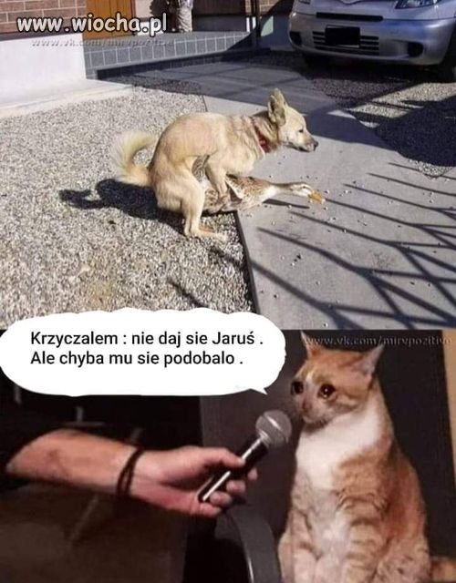 I tak