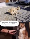 I tak