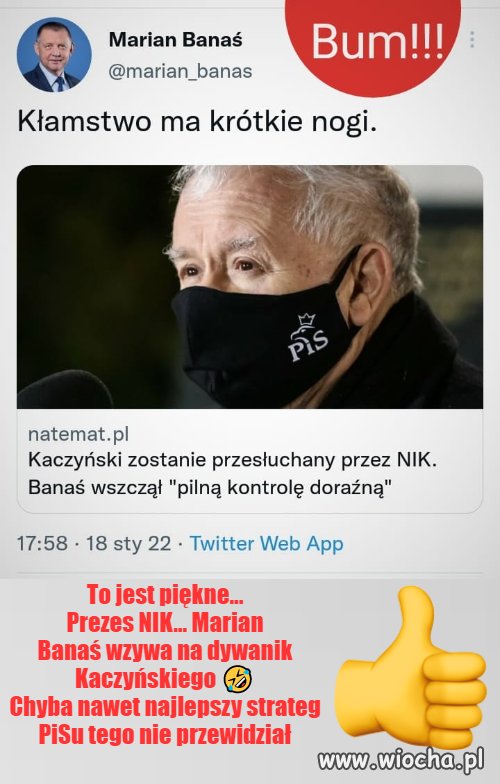 Kłamca na kaczych łapkach 