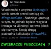 Strach 