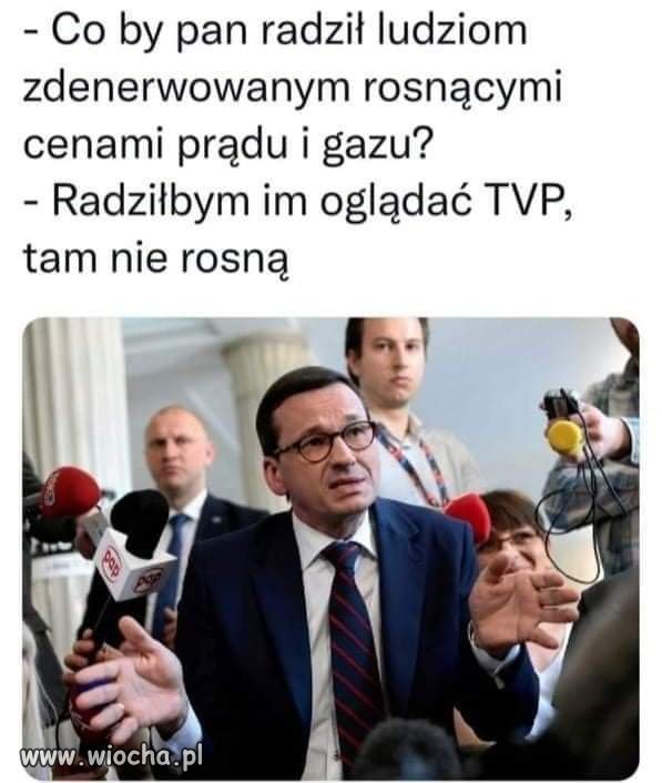 Wujek dobra rada. 