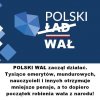 No i jak tam pisowski elektoracie