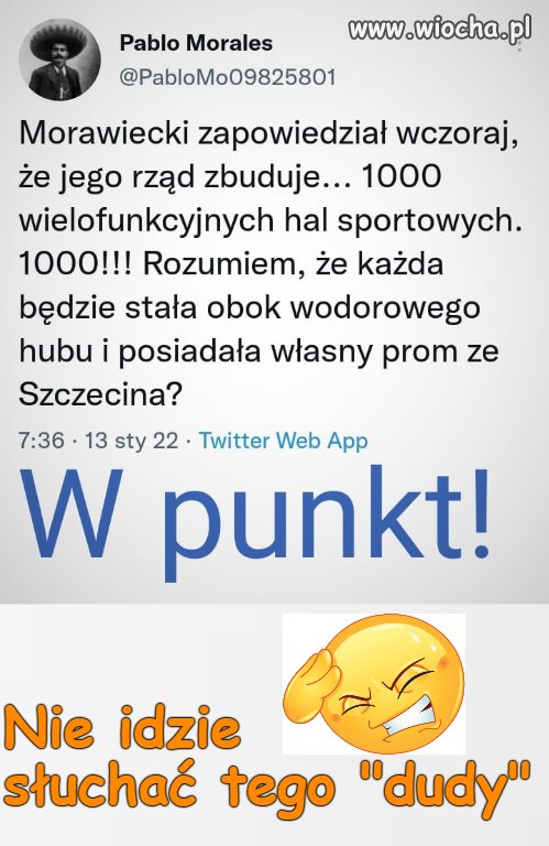 1000 hal sportowych 