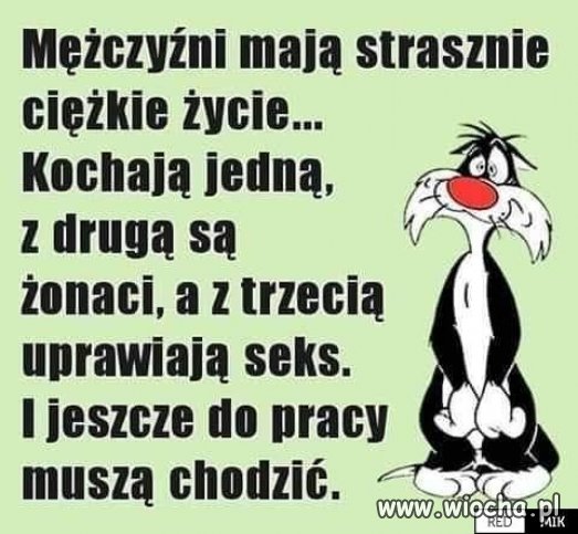 Dobrze gada