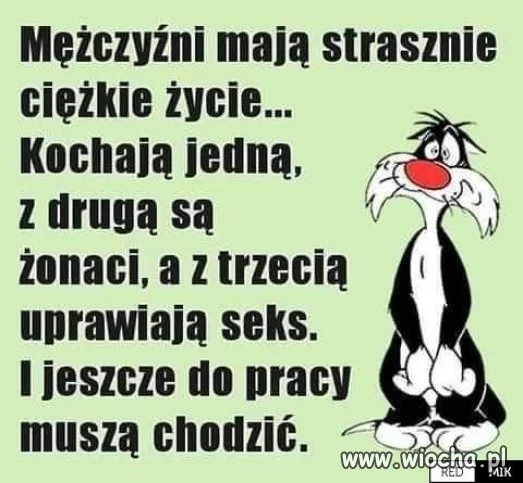 Dobrze gada