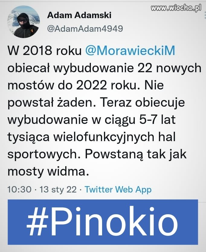 Pinokio 