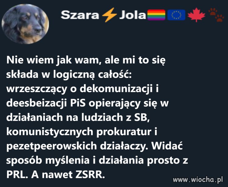 Kierunek pisowskiego kursu już nie budzi wątpliwości.