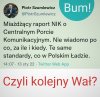 Raport NIK