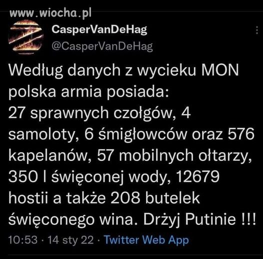 Wyciekły dane o stanie armii polskiej