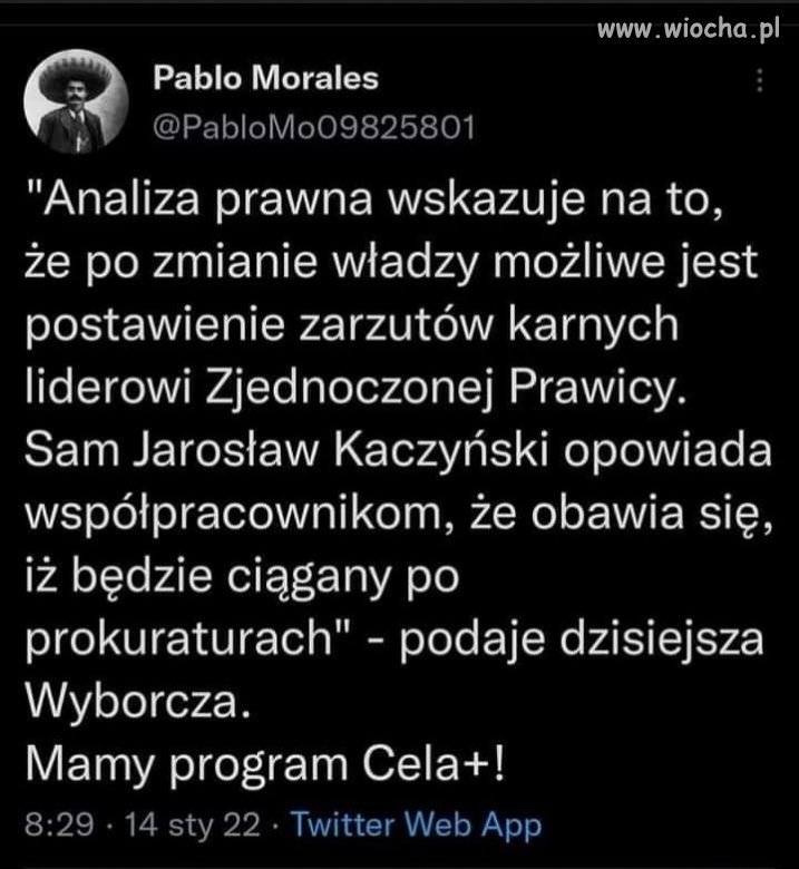 CELA+. Jedyny program dla PiSowców za którego ...