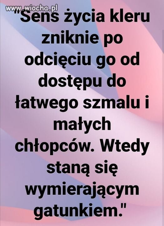 Kler Won