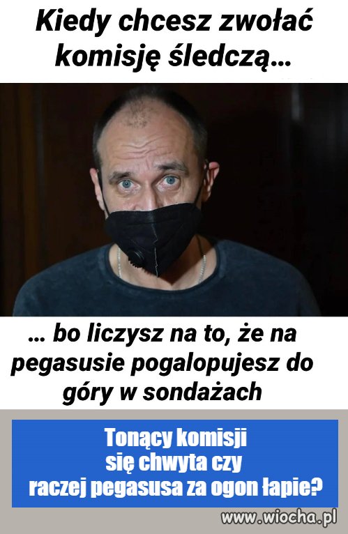 Chce zabłysnąć 