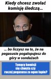Chce zabłysnąć 