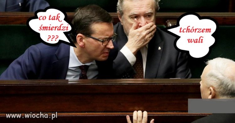 Co tak śmierdzi?  To ten tchórz śmierdzący!