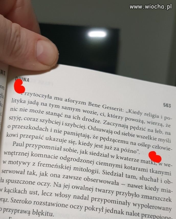 Cytat na czasie DIUNA