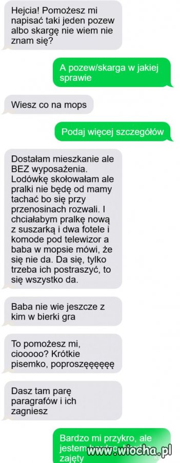 Typowy pisowiec 