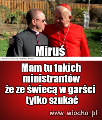 Koneserzy
