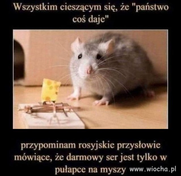 Do wyborców pisu