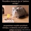 Do wyborców pisu