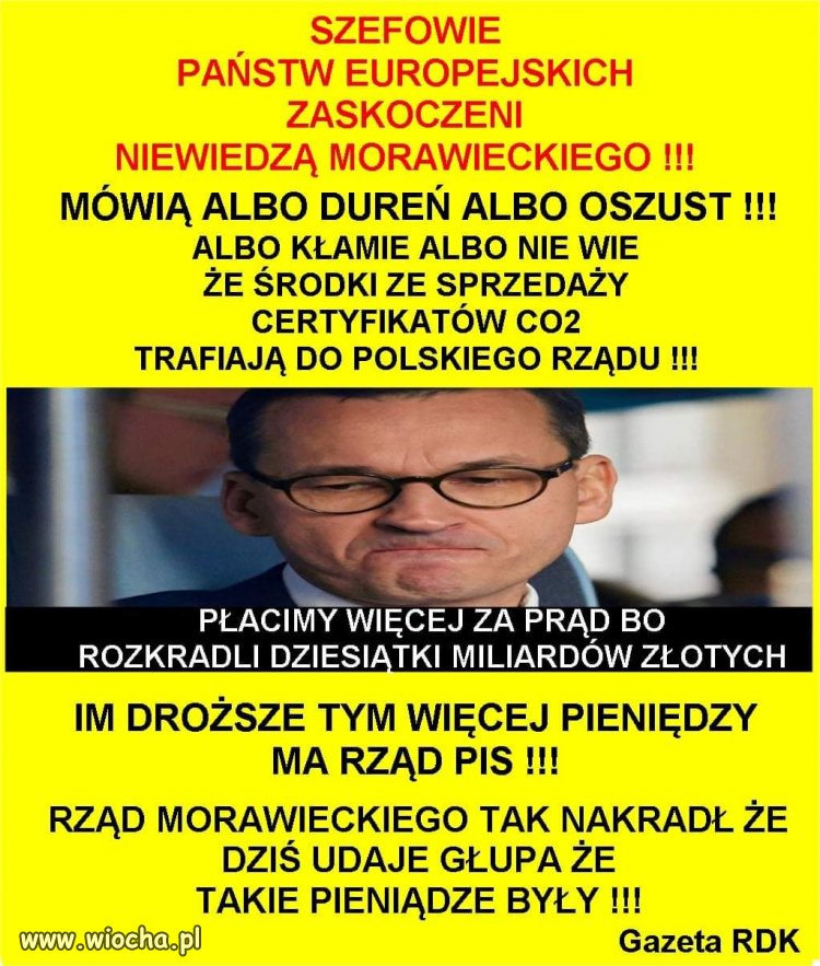 Albo jedno 