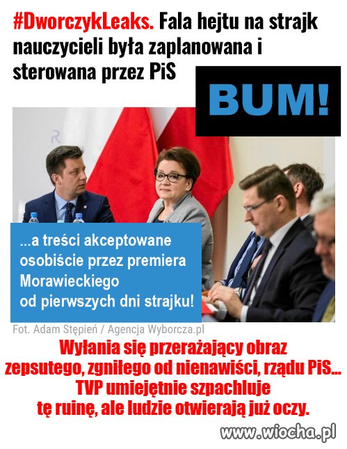 PiS-owski hejt 