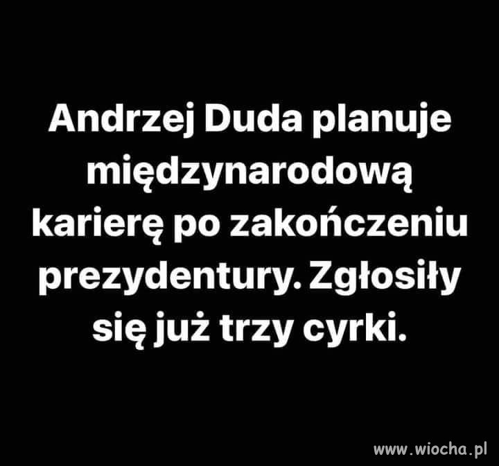 W tej branży ma szansę ...