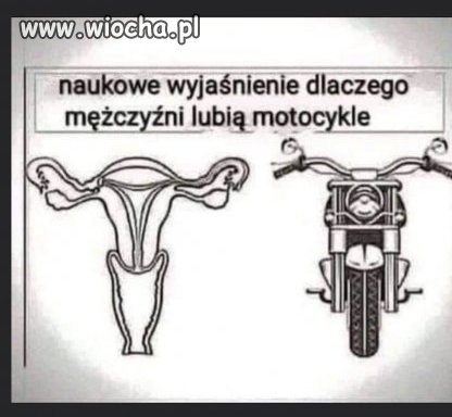 Ja lubię