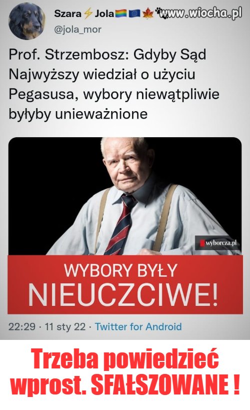 Sfałszowane wybory 