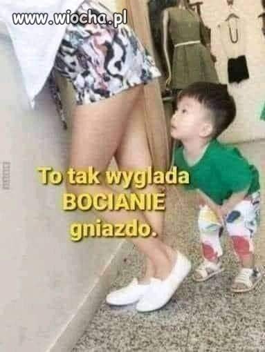 Tak wygląda końcowy argument