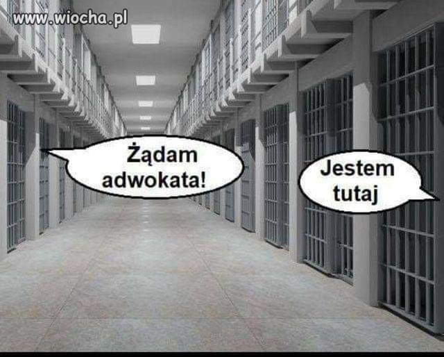 Przyszłość PiS-u