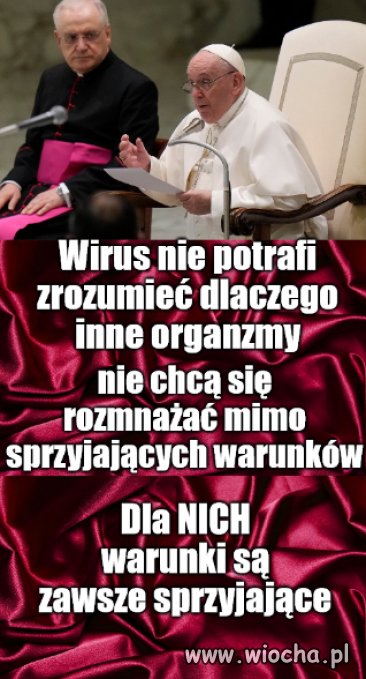 Papież Franciszek o ,,zastępowaniu dzieci,, zwierzętami