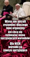 Papież Franciszek o ,,zastępowaniu dzieci,, zwierzętami