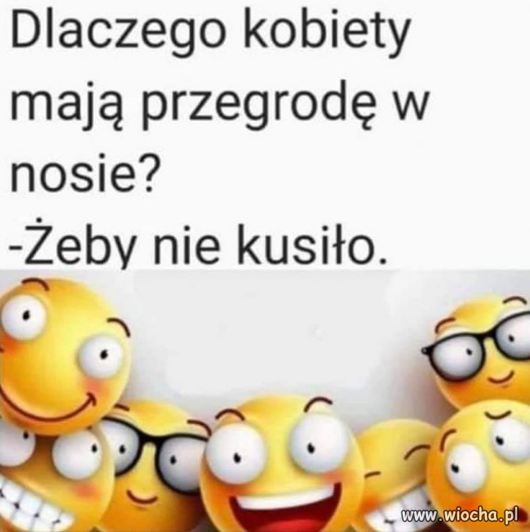 Przegroda w nosie 