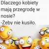Przegroda w nosie 