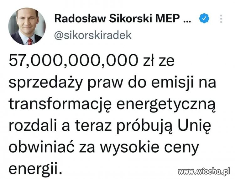 Typowa