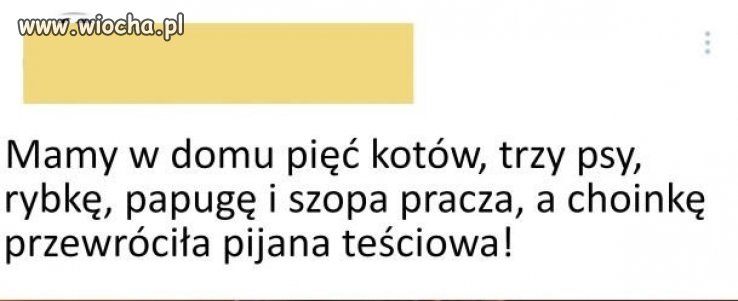 I tyle w temacie