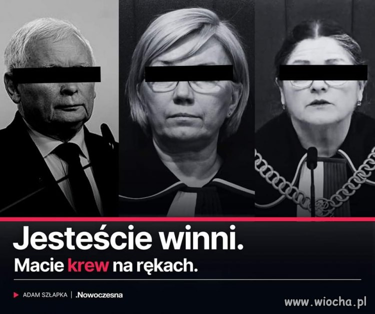 Jesteście winni ‼