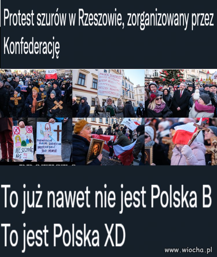 Cały dorobek nauki wybejany na śmietnik, bo Krzysztof Jarzyna ze Szczecina przeczytał post na fb i obejrzał 30-minutowy filmik z żółtymi napisami