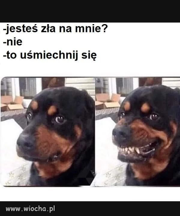 Kobiety tak mają. 