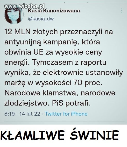 Pisowskie kłamstwa - ciąg dalszy